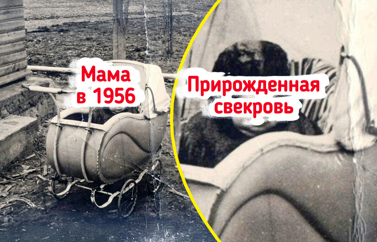 20+ фото из эпохи, когда мы замирали перед вспышкой и неделю ждали проявки пленки — 24.03.2026