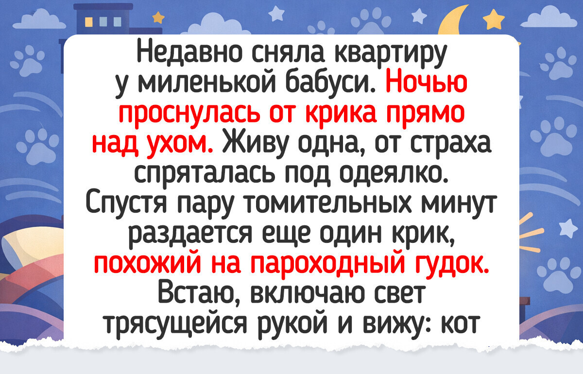 15 кадров, на которых питомцы устроились с таким уютом, что хочется к ним присоединиться