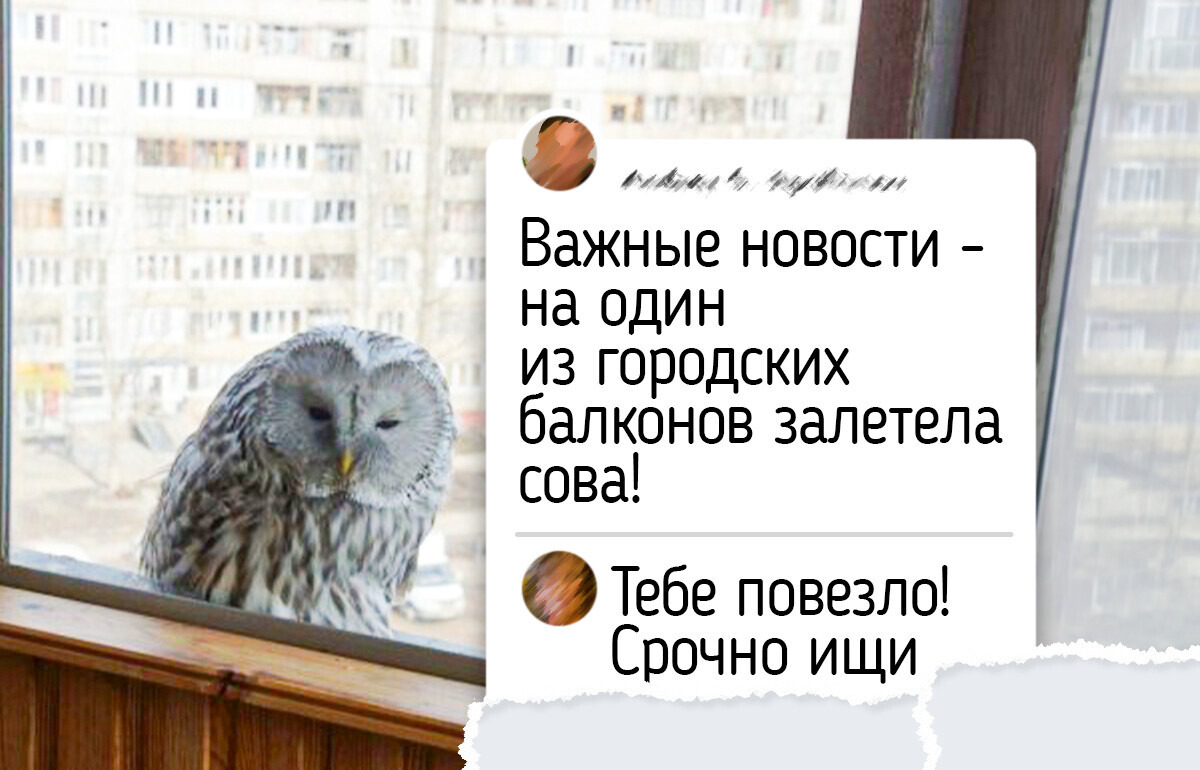 15 радостных фото животных, которые ненавязчиво заглянули на огонек и принесли с собой тепло и уют