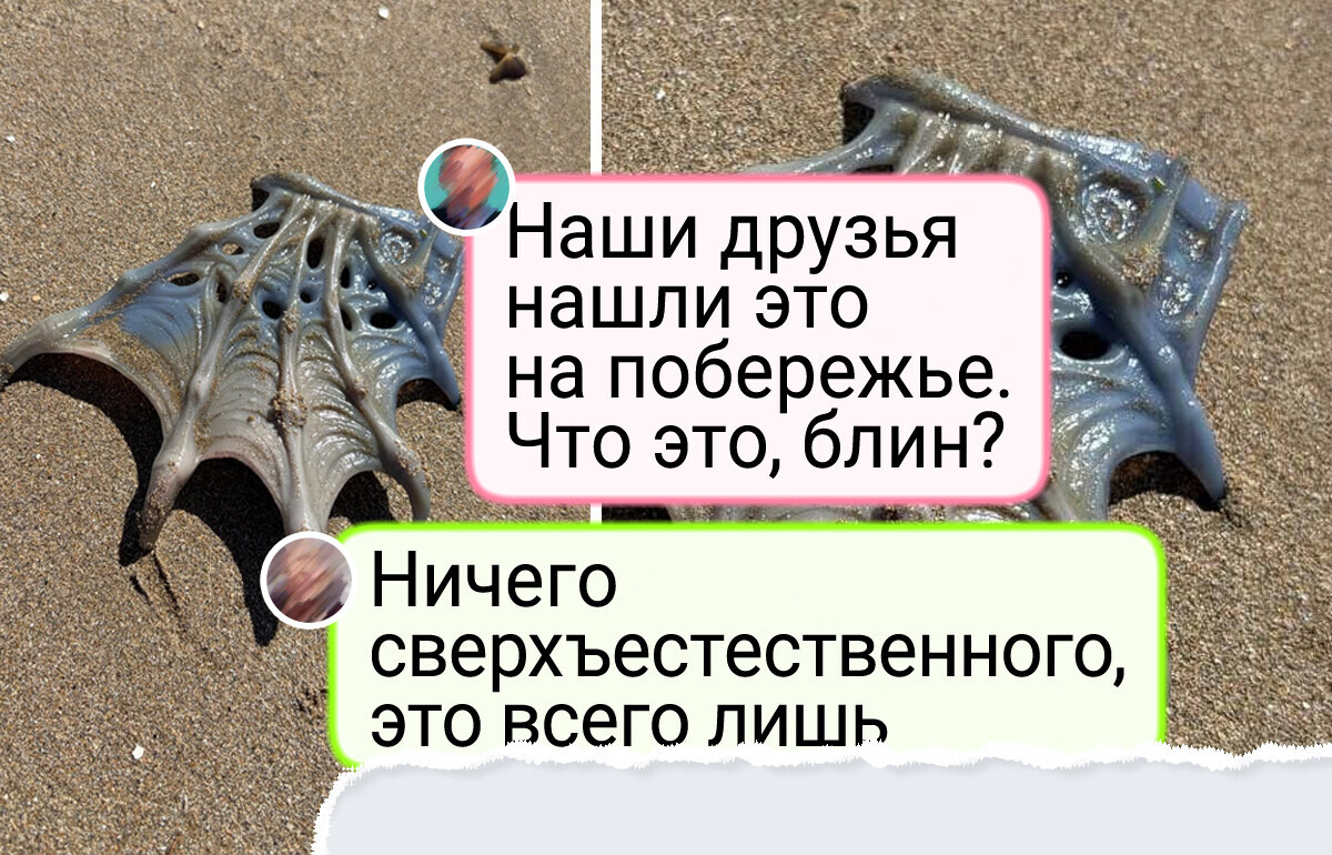 13 человек, которых любопытство привело к маленькому открытию