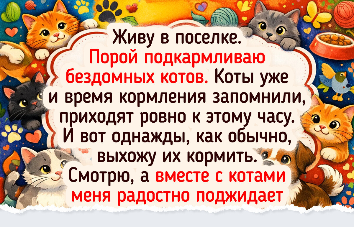 15 историй о том, что поводы для улыбок окружают нас повсюду, стоит только присмотреться