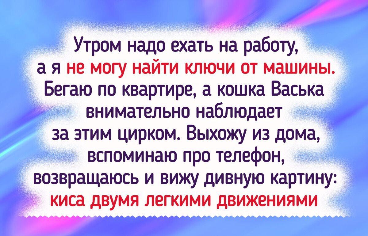 15+ пушистых проказников, с которыми не соскучишься