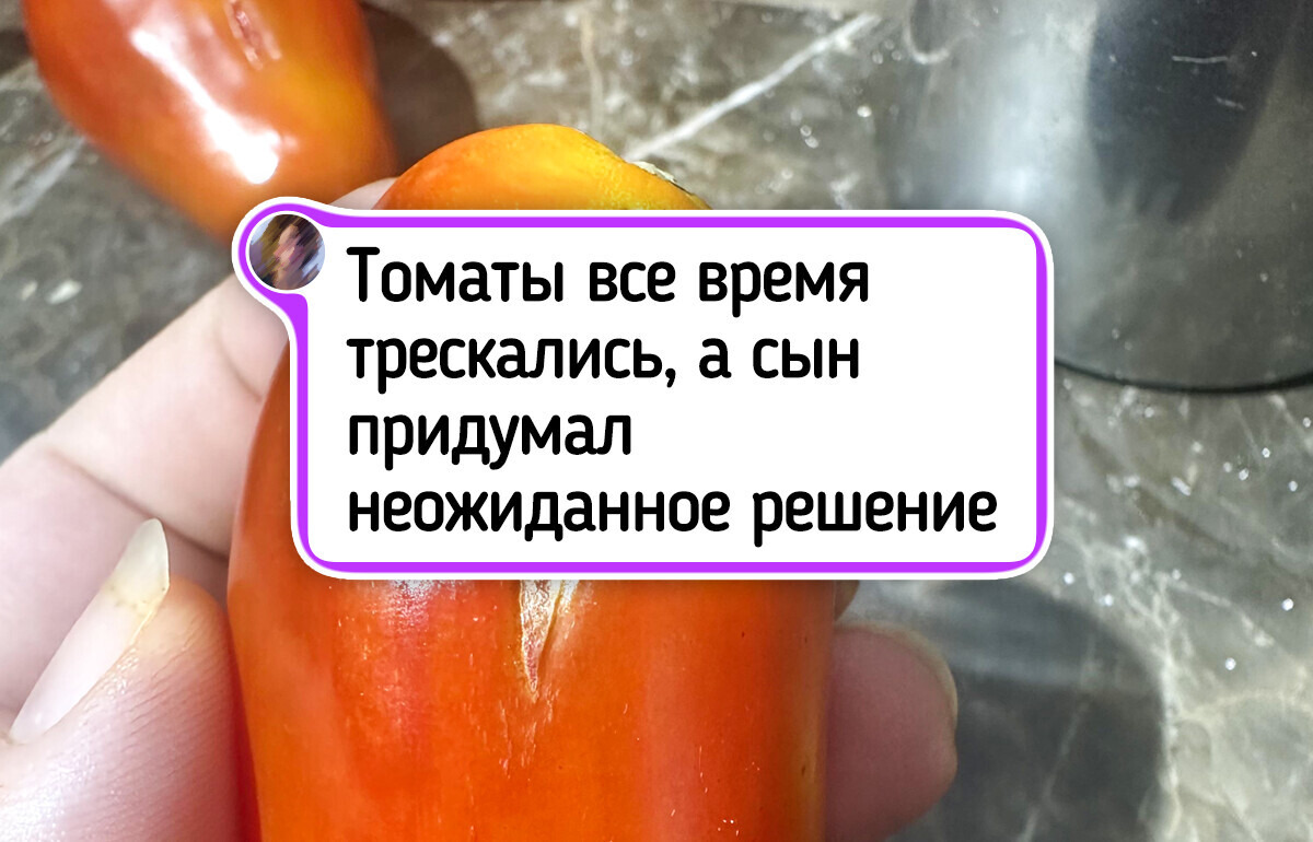 17 человек, которые добавили щепотку творчества в рутину, а заодно и настроение нам подняли