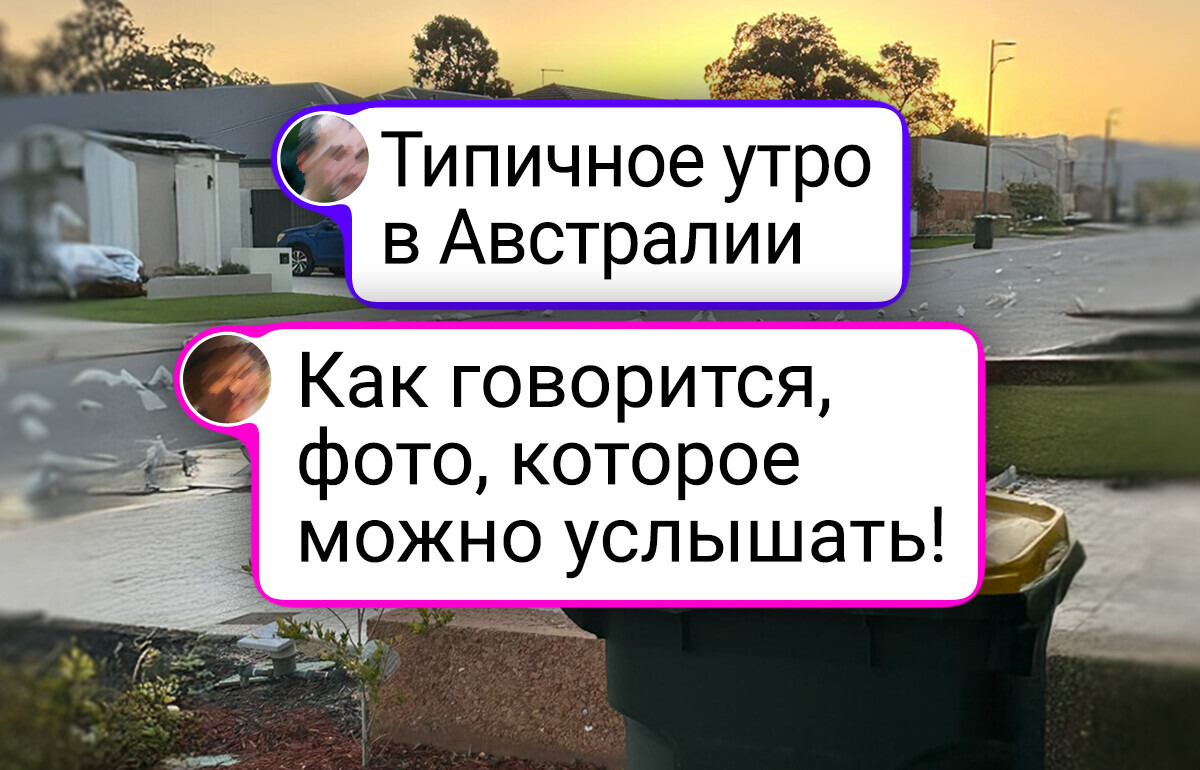 16 фото, которые доказывают, что Австралия — это не просто другой континент, а какая-то другая планета