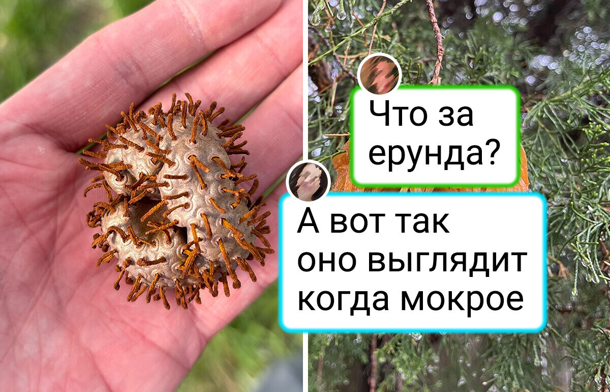 14 случаев, когда природа проявила себя с неожиданной стороны