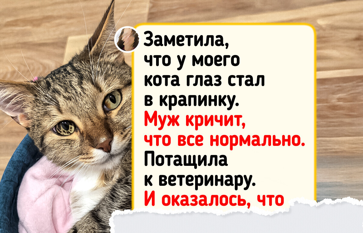 20+ животных, которые выглядят так, словно прилетели с другой планеты 20+ животных, которые выглядят так, словно прилетели с другой планеты