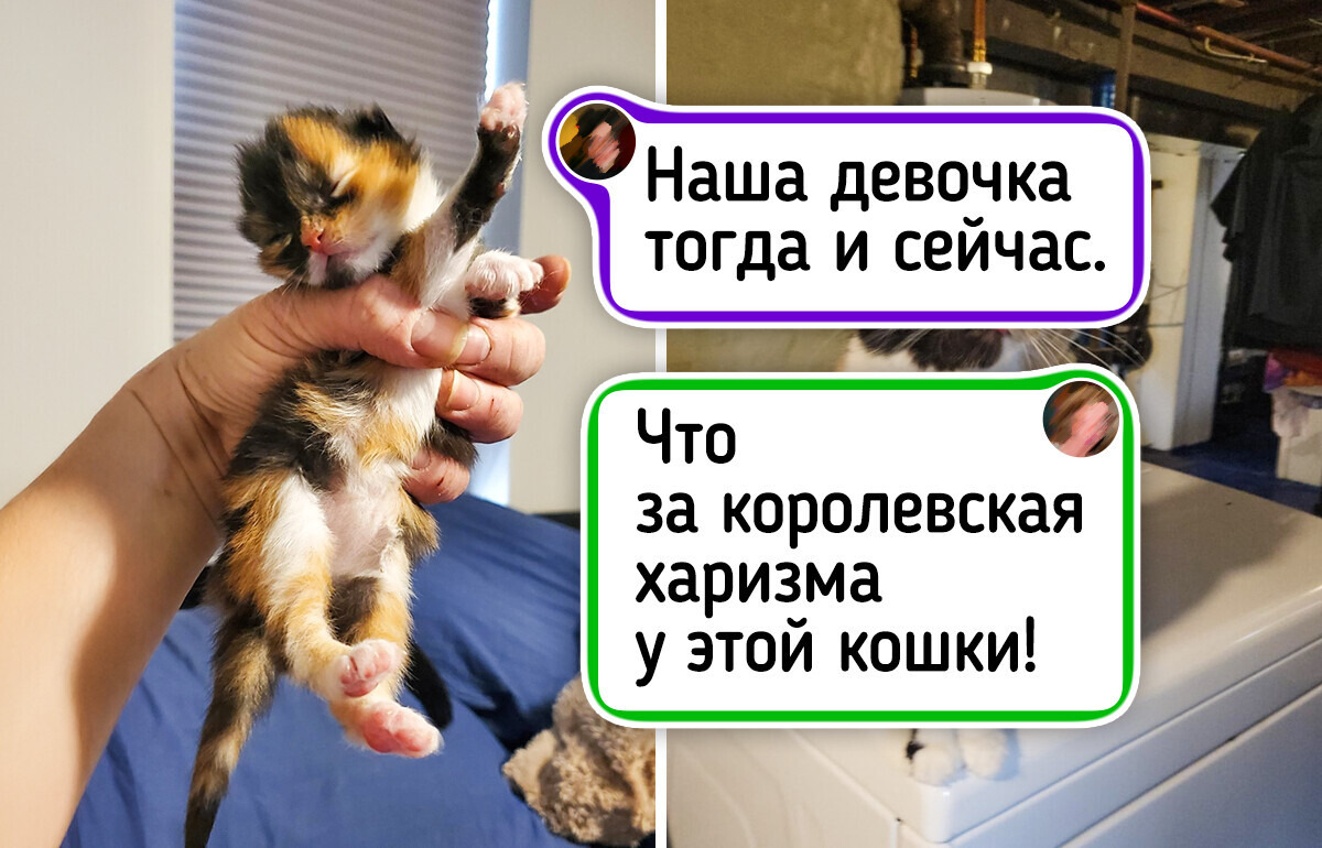 18 фото пушистиков, которые растопят сердце и напомнят, как быстро летит время — 17.03.2026