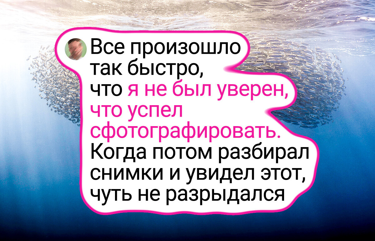 18 снимков от любителей природы, из-за которых аж сердце быстрее бьется 18 снимков от любителей природы, из-за которых аж сердце быстрее бьется