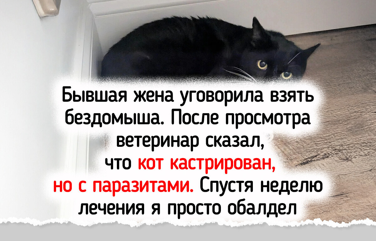 25 животных с чудинкой, которые одним своим присутствием делают нашу жизнь замурчательнее 25 животных с чудинкой, которые одним своим присутствием делают нашу жизнь замурчательнее