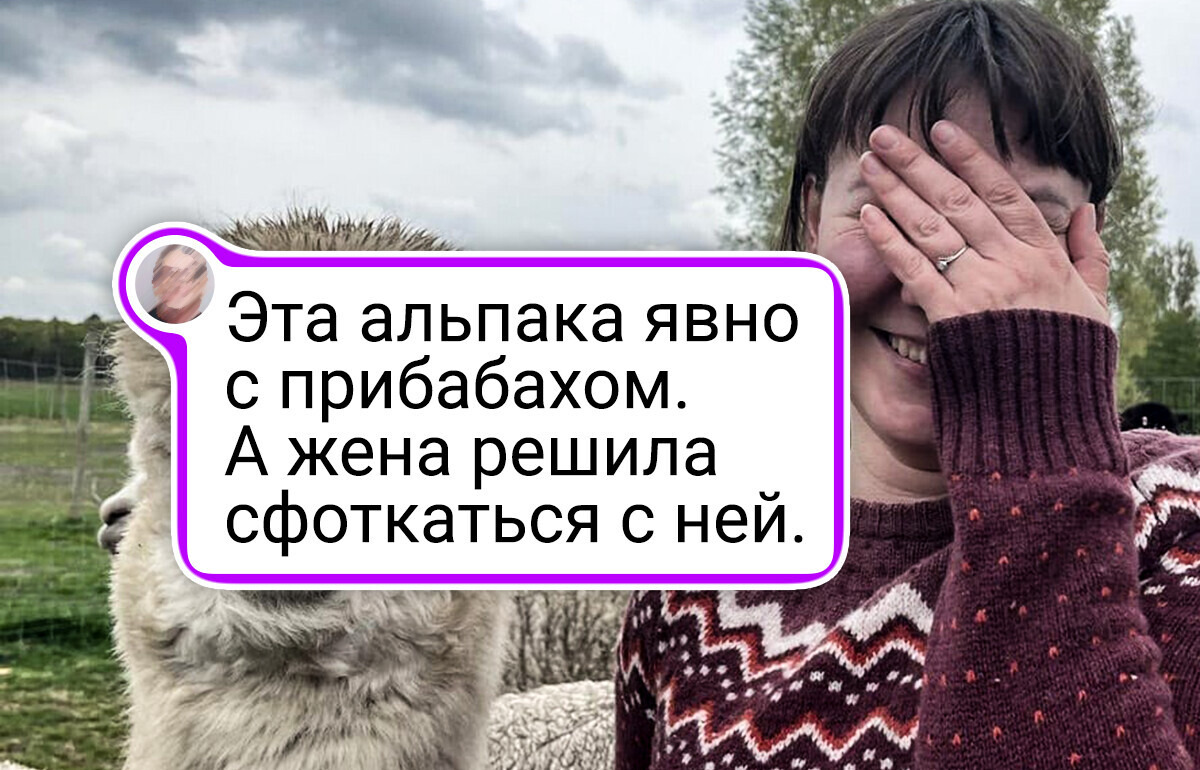16 животных, от чьих мордашек живот от смеха надорвать можно