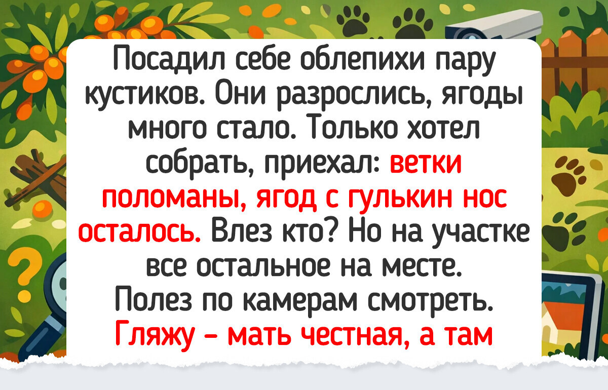 15 историй о дачных буднях, где разворачиваются такие сюжеты, что любой сериал отдыхает