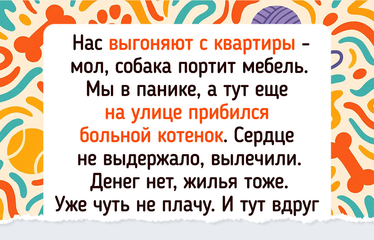 20+ питомцев, которые появились буквально из ниоткуда и навсегда изменили жизнь своих людей 20+ питомцев, которые появились буквально из ниоткуда и навсегда изменили жизнь своих людей