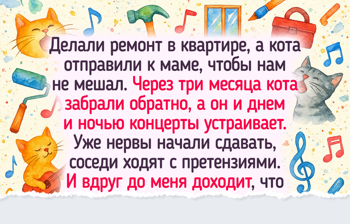19 домашних питомцев, про смекалку и харизму которых кино снимать надо 19 домашних питомцев, про смекалку и харизму которых кино снимать надо