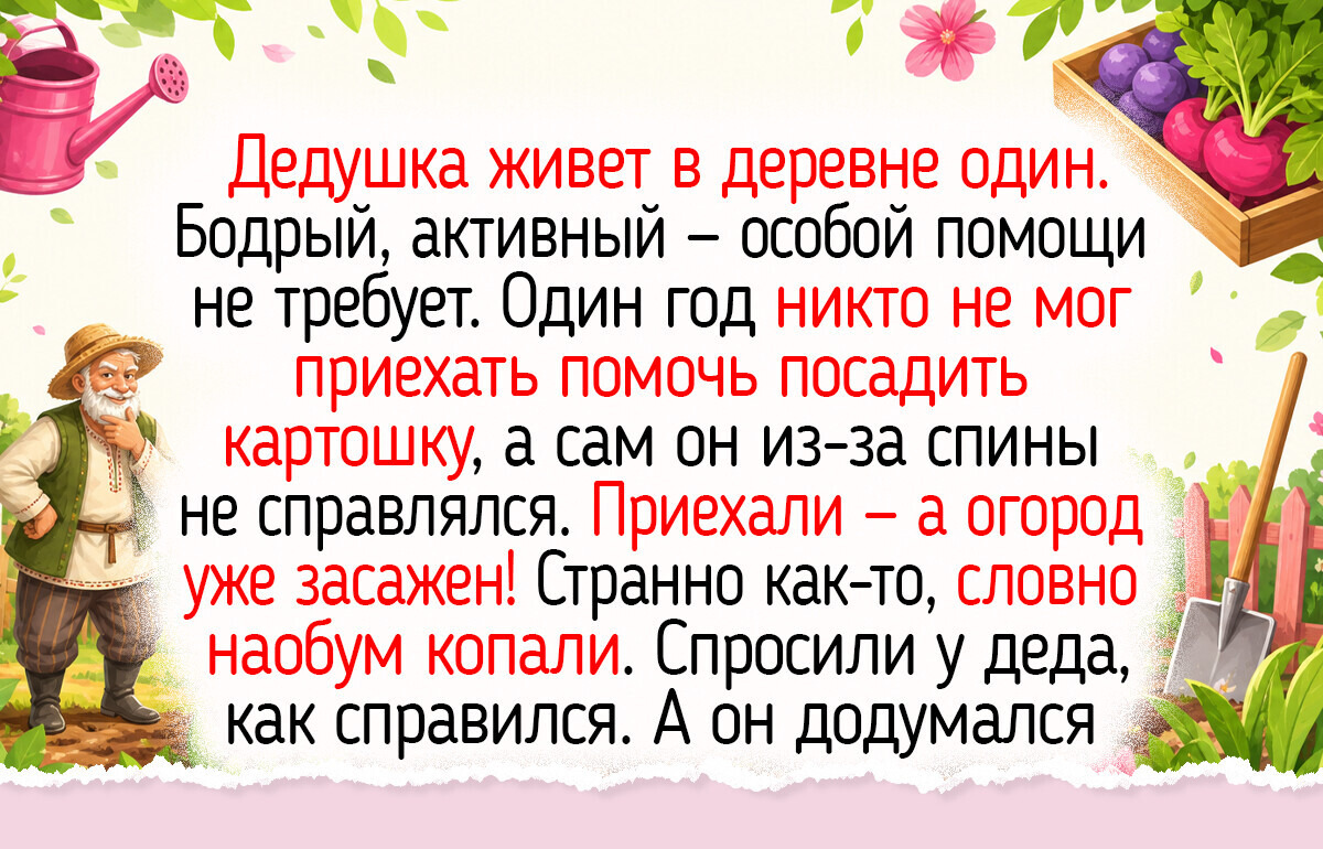 16 теплых историй о деревенских жителях, у которых кукарекают петухи и пахнет сливовыми пирогами