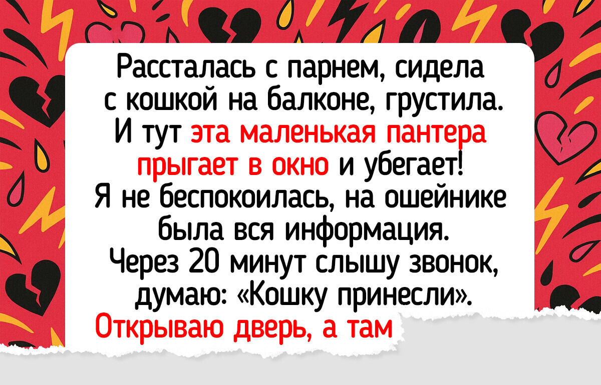 14 историй о питомцах, которые привели хозяев к настоящей любви 14 историй о питомцах, которые привели хозяев к настоящей любви