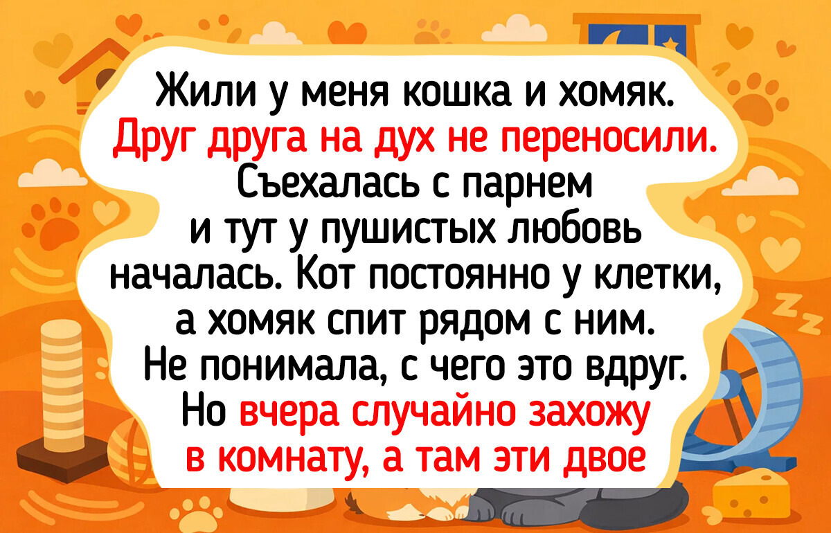 16 мохнатых парочек, чья дружба напоминает сценарий доброго мультфильма