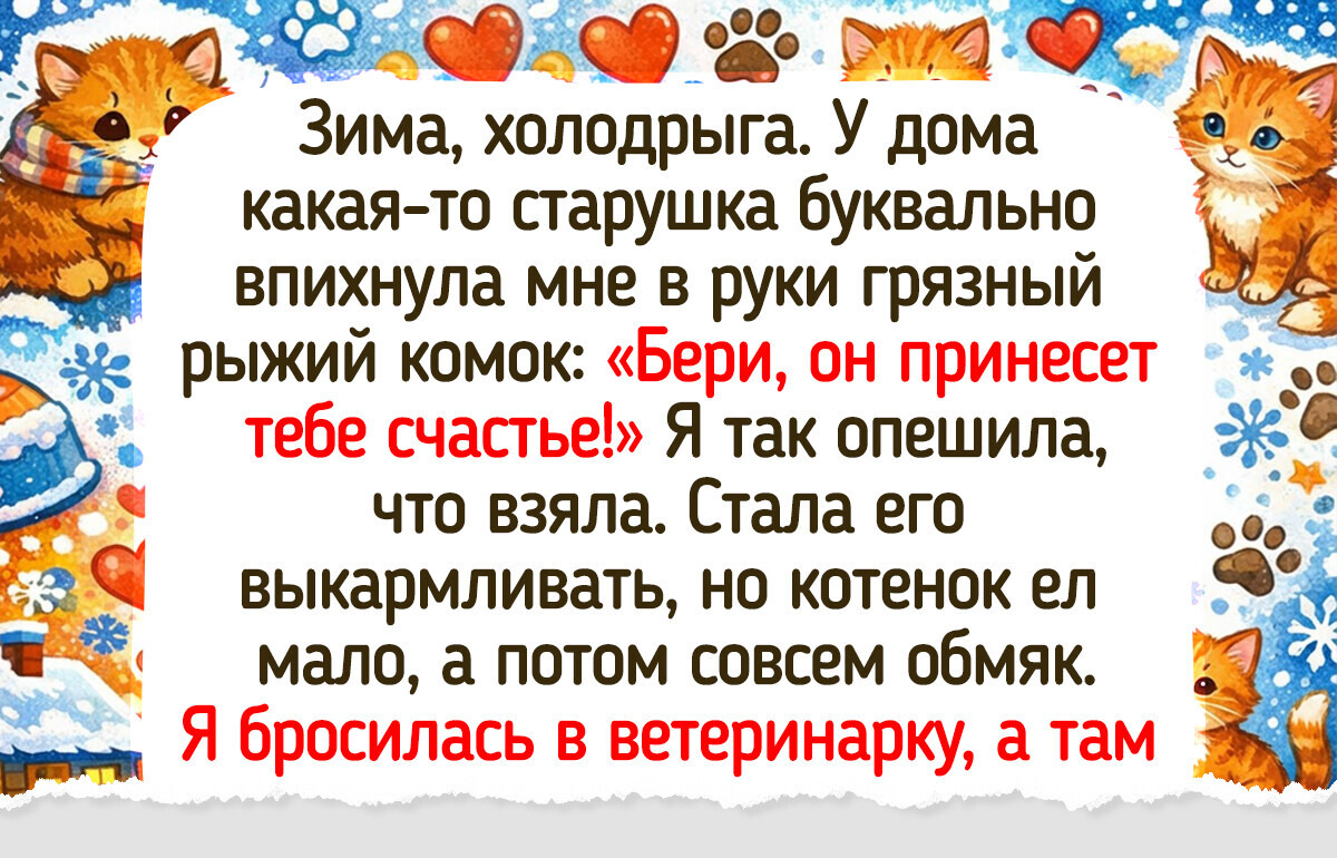 20+ котов, появление которых в доме стало началом большой и очень доброй истории 20+ котов, появление которых в доме стало началом большой и очень доброй истории