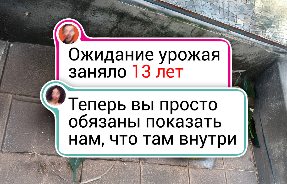 19 человек, чей урожай и глаз радует, и душу греет