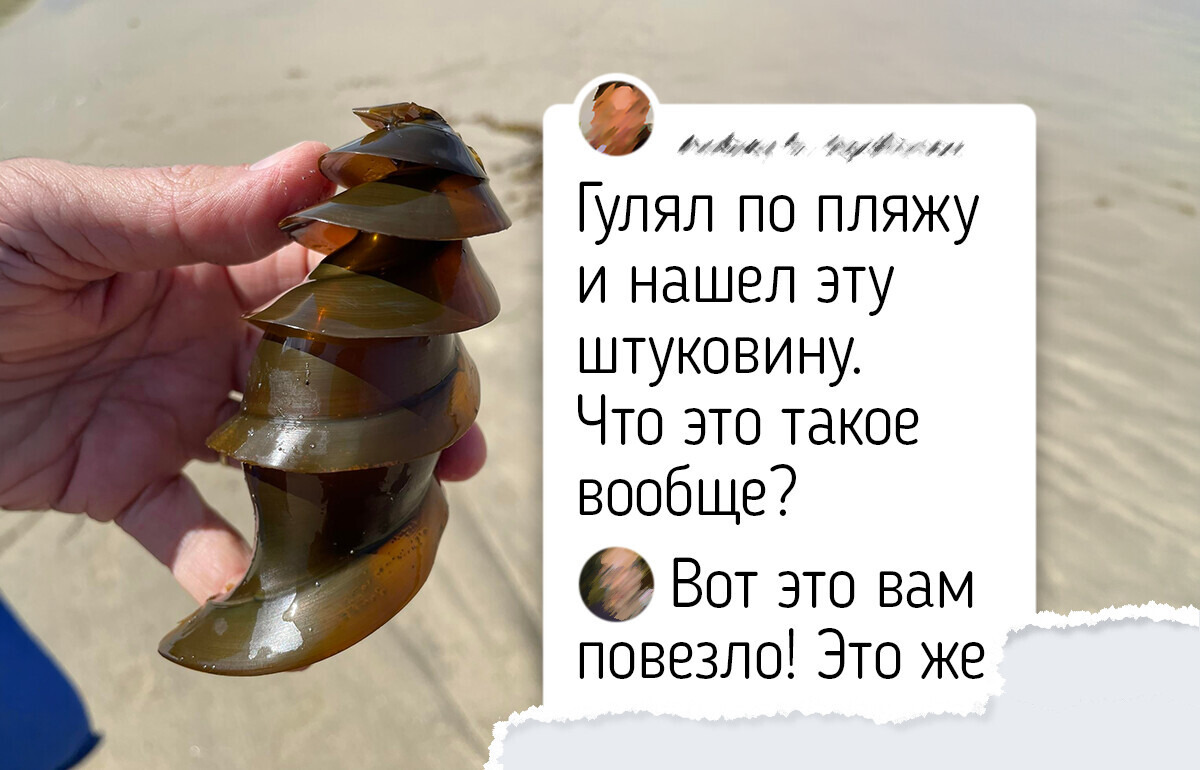 Яйца 8 птиц и рыб, которые поднимают настроение и запоминаются надолго