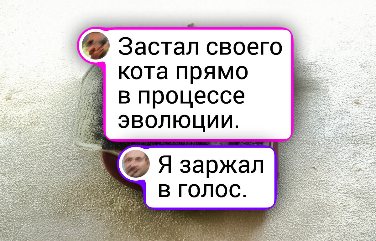 16 случайных кадров, которые невозможно повторить (и это не фотошоп) 16 случайных кадров, которые невозможно повторить (и это не фотошоп)