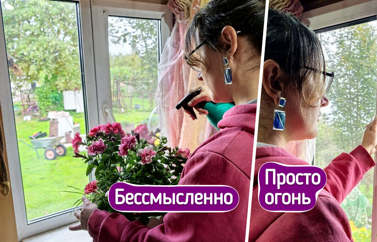 6 простых способов помочь домашним растениям пережить холода, чтобы зимой они не сбросили ни листочка