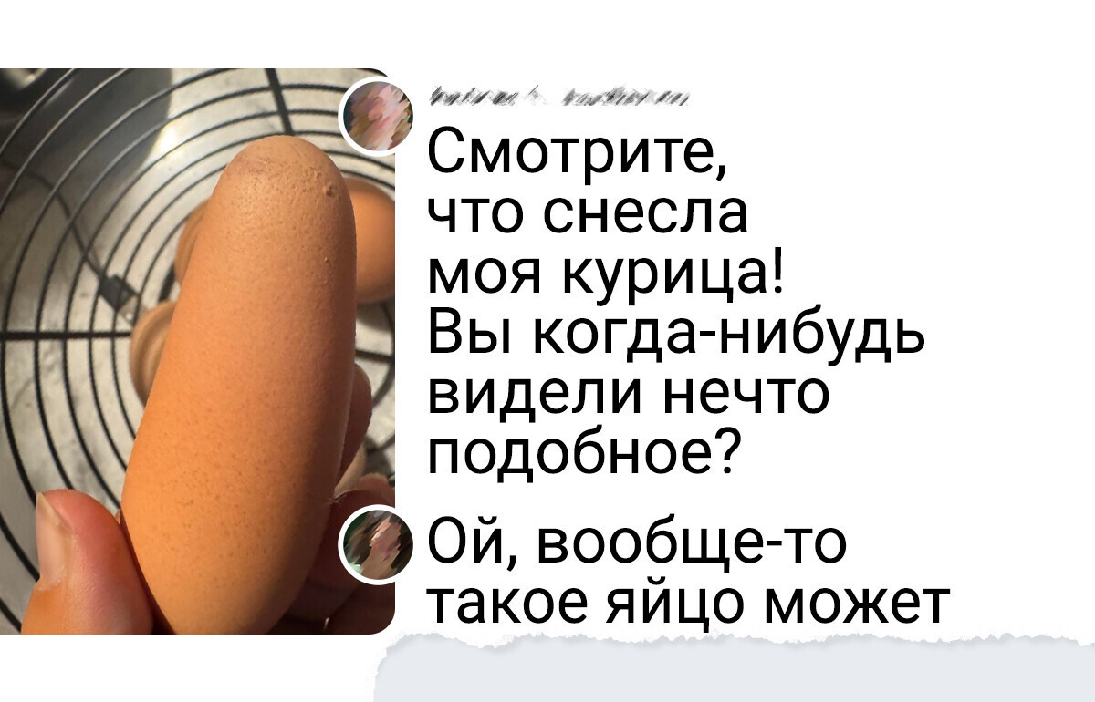 24 фото из повседневной жизни, которые показывают, какой богатый мир вокруг