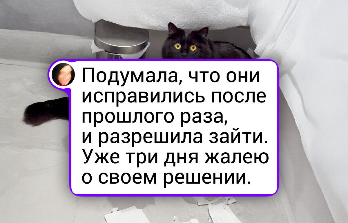 20+ пушистиков, которым надоело притворяться милашками, и это просто умора 20+ пушистиков, которым надоело притворяться милашками, и это просто умора