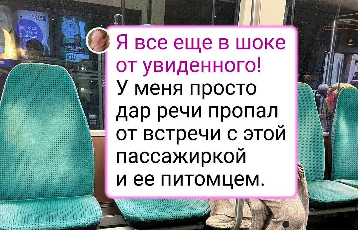 15+ фото, при виде которых понимаешь, сколько неожиданностей может встретиться на пути