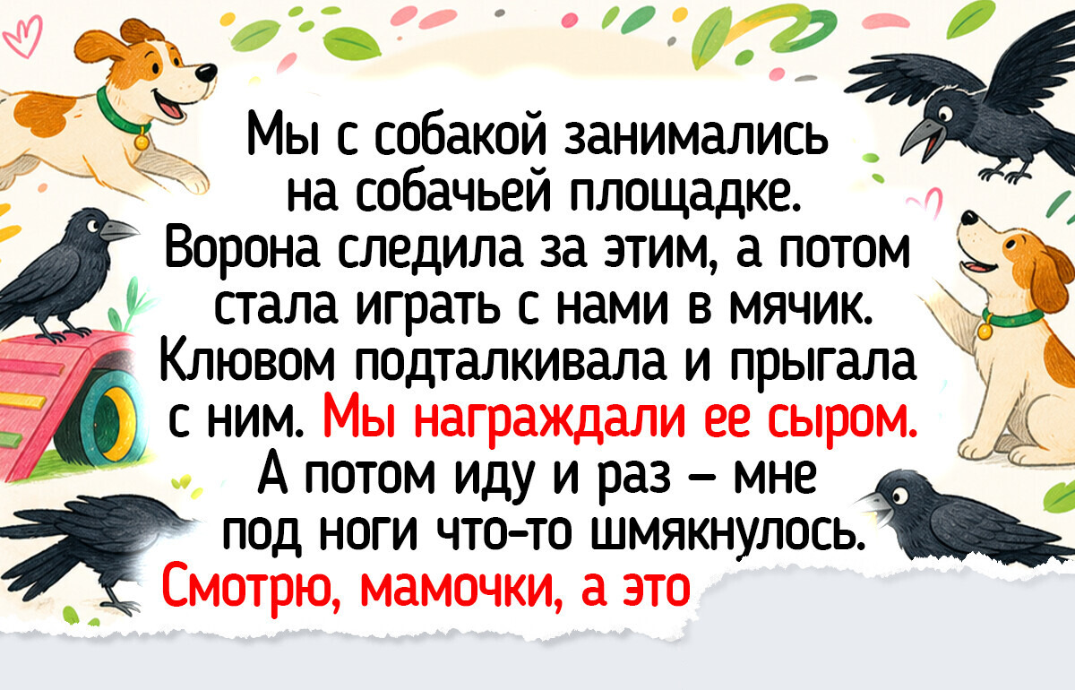 15+ теплых историй и фото о том, что животные помнят добро и умеют дружить
