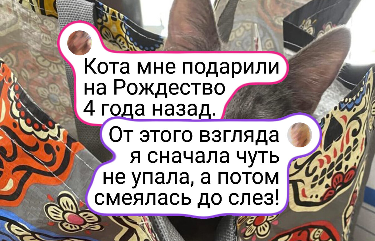 17 случаев, когда люди приютили обычное животное, а выросло чудо какое-то