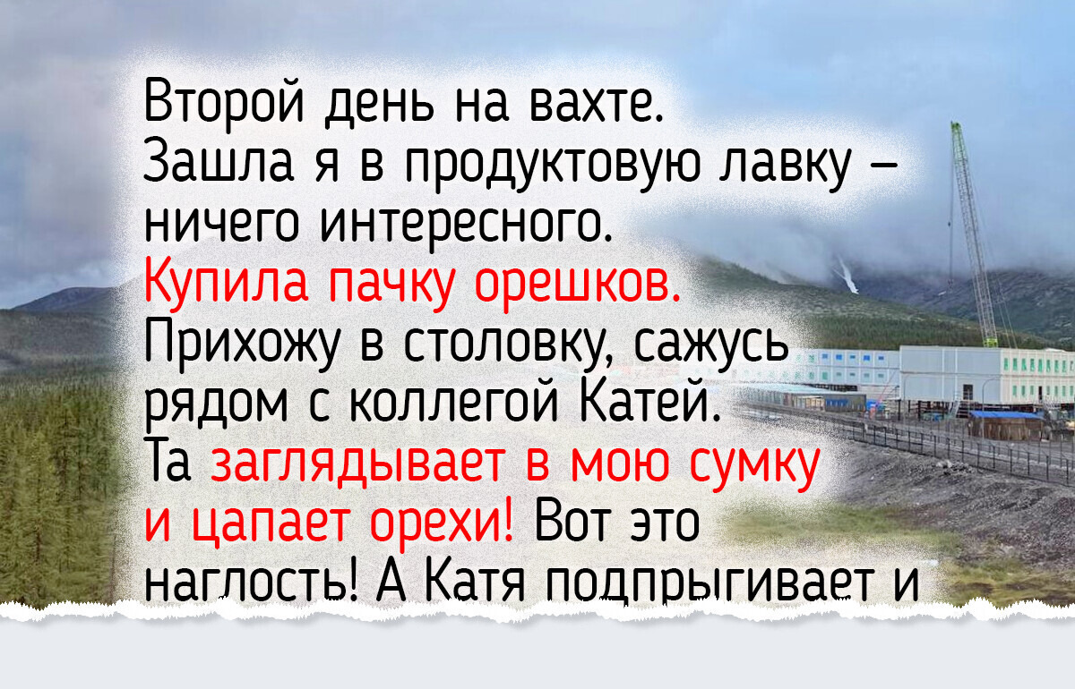В 35 лет я впервые поехала на вахту. Расскажу, почему для меня это оказалось работой мечты