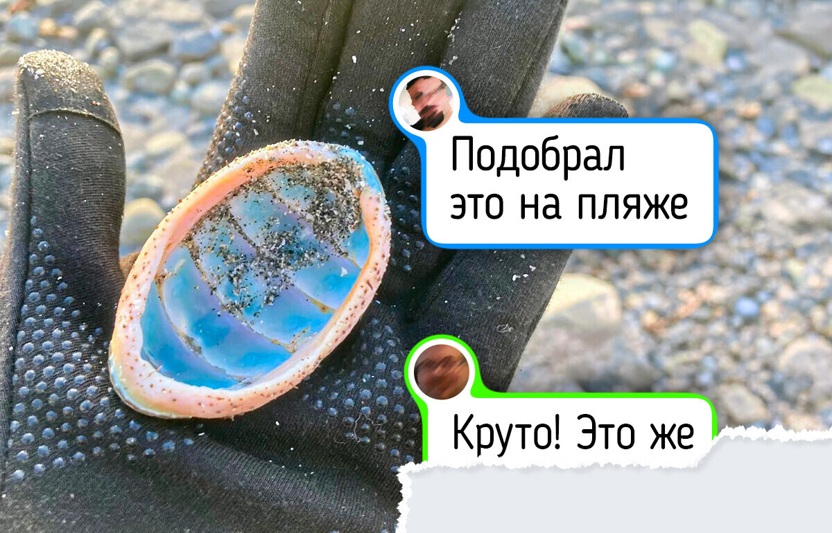 13 человек просто отправились на природу, а вернулись домой с чудом в кармане