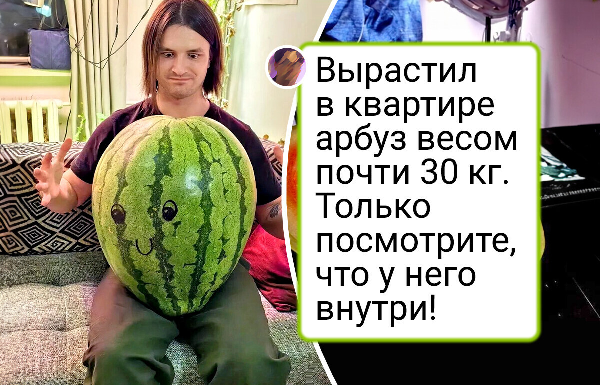 14 фото, на которых привычная нам еда раскрылась с неожиданной стороны 14 фото, на которых привычная нам еда раскрылась с неожиданной стороны