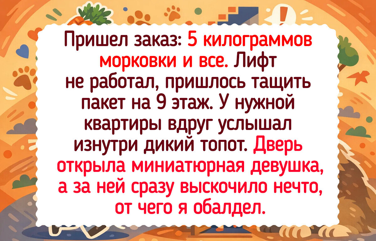 15 рассказов от курьеров, у которых что ни адрес — то новая серия захватывающего сериала