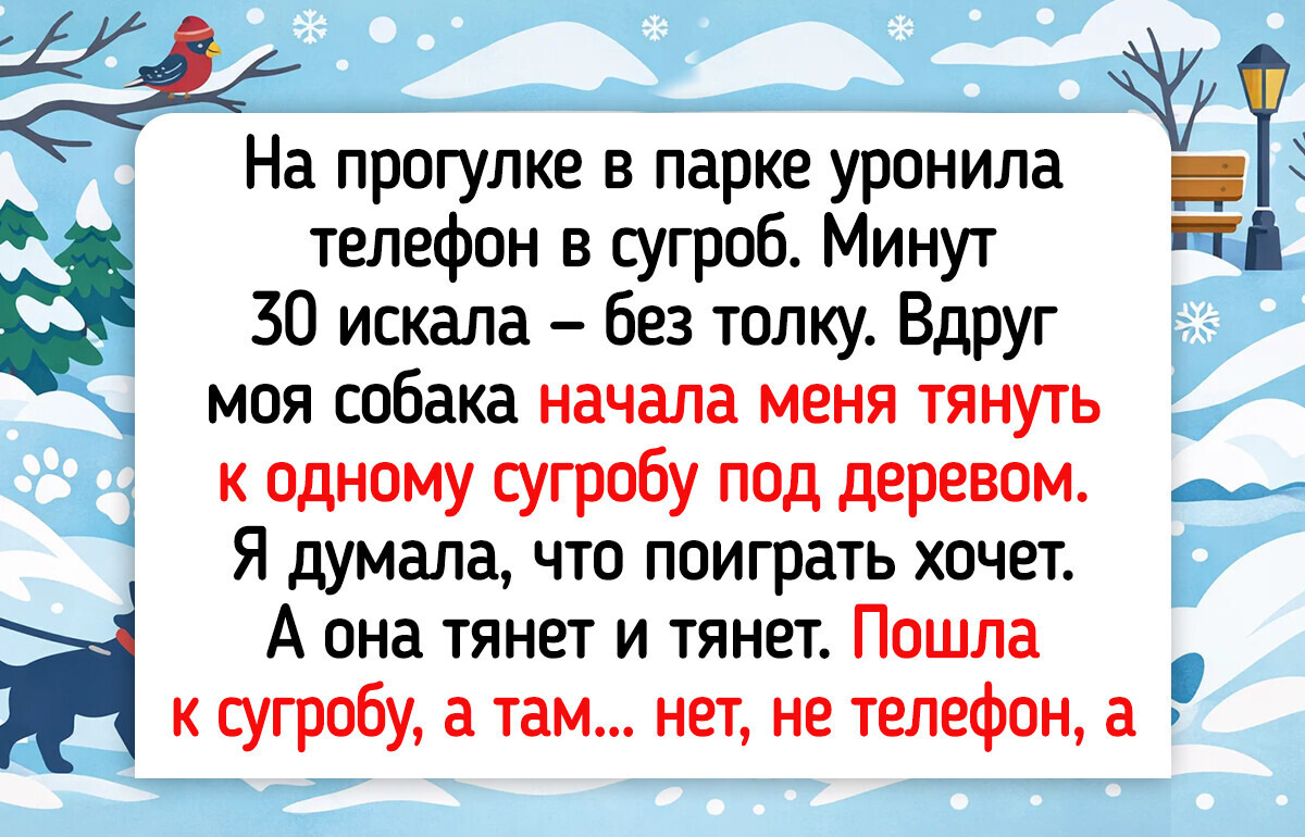 16 добрых поступков животных, которые позволяют нам многому у них поучиться