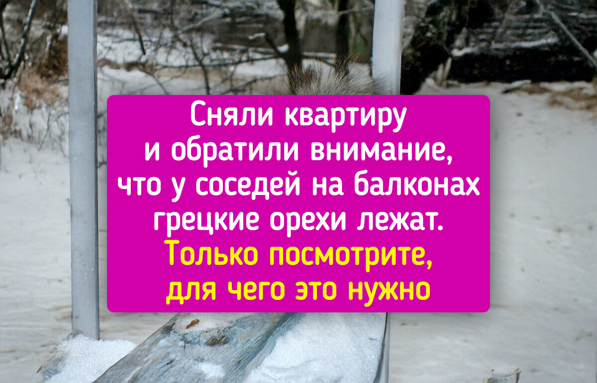 18 зимних фото, которые согревают лучше пледа с какао