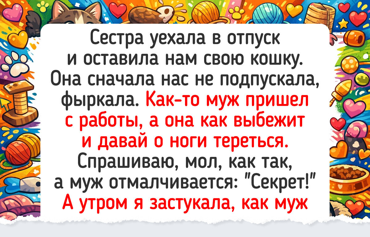 16 котов, которые точно знают, как заставить этот мир (и хозяев) крутиться вокруг них