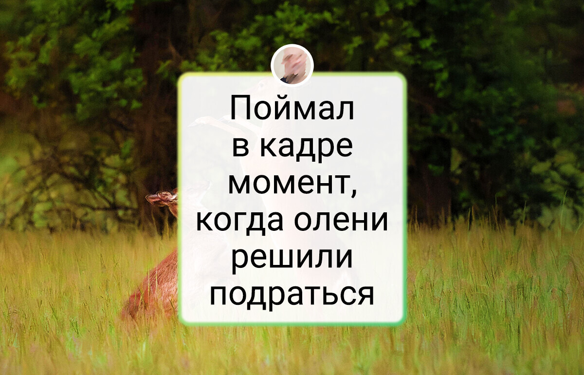 17 человек, которые сделали фотографию в нужный момент
