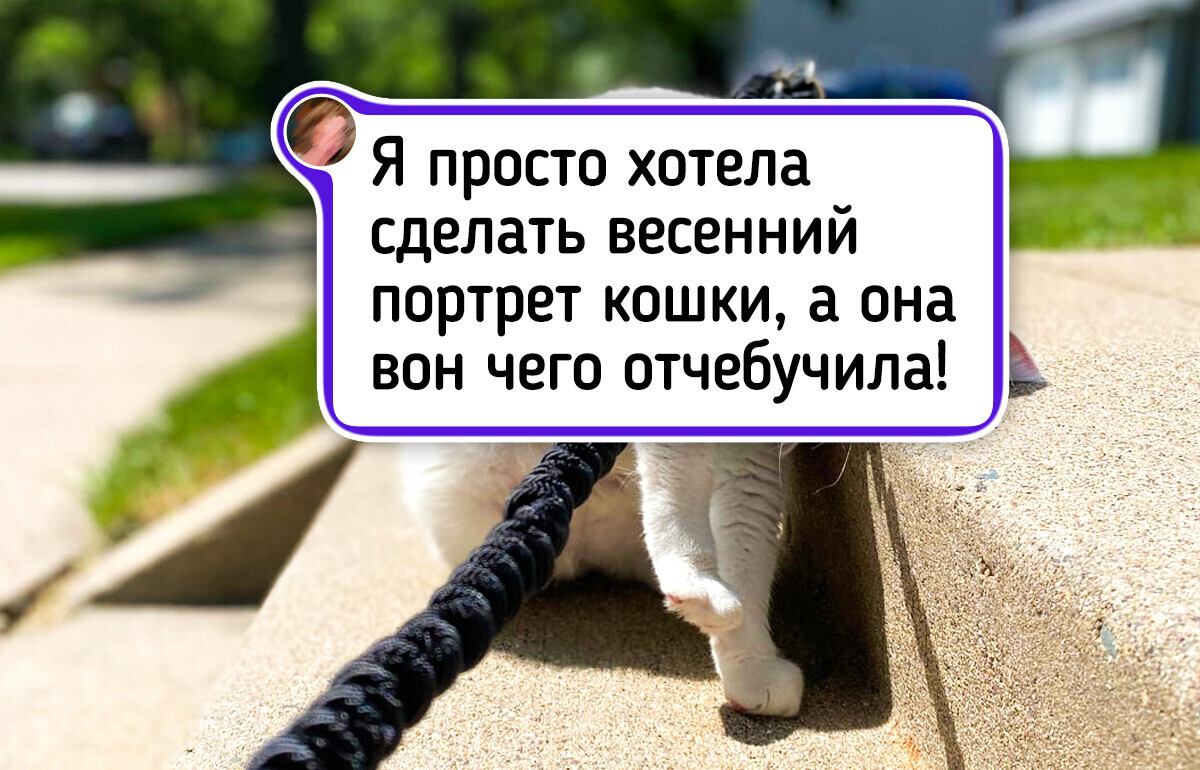 20 пушистых героев, которые искренне радуются приходу весны