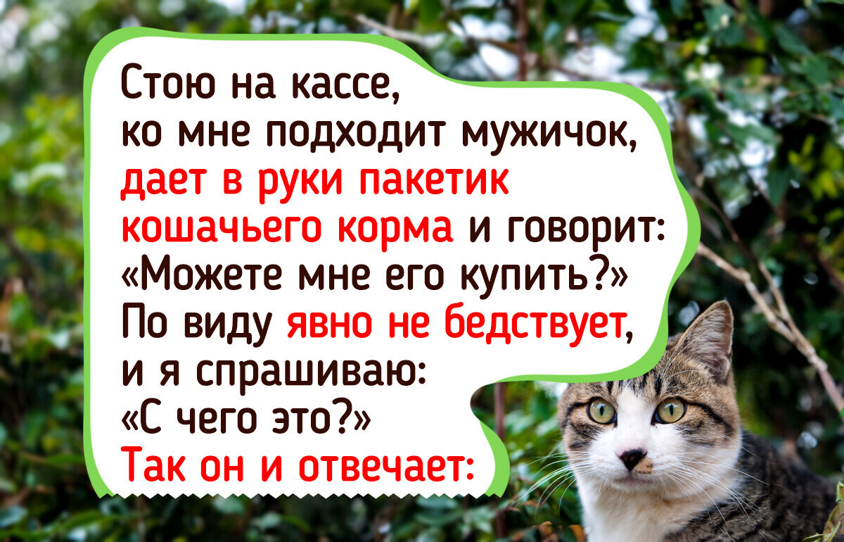 20+ случаев, когда в очередях закипели страсти