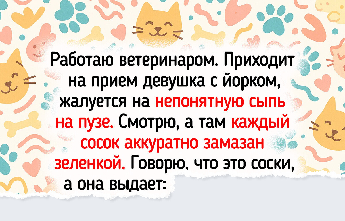 Ветеринары рассказали о питомцах и их хозяевах, которых не забыть ни в какую
