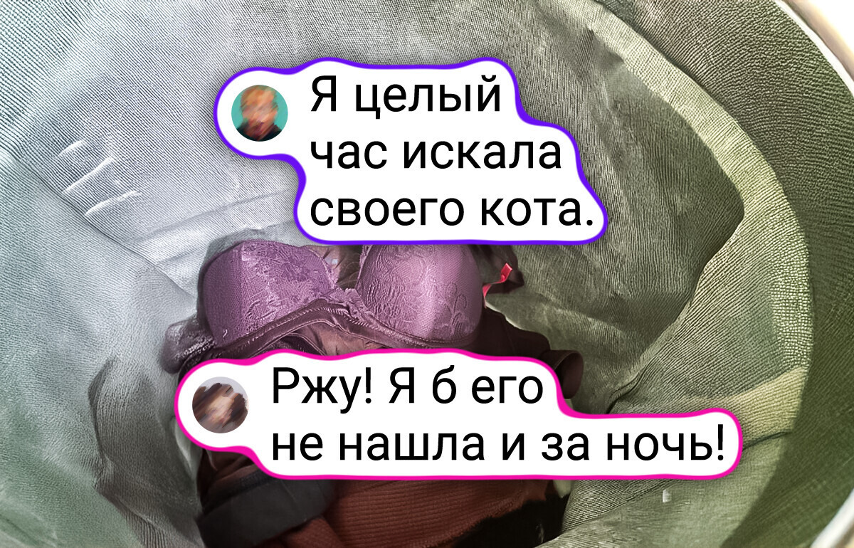 20+ домашних любимцев, которые постигли искусство маскировки на уровне ниндзя 20+ домашних любимцев, которые постигли искусство маскировки на уровне ниндзя