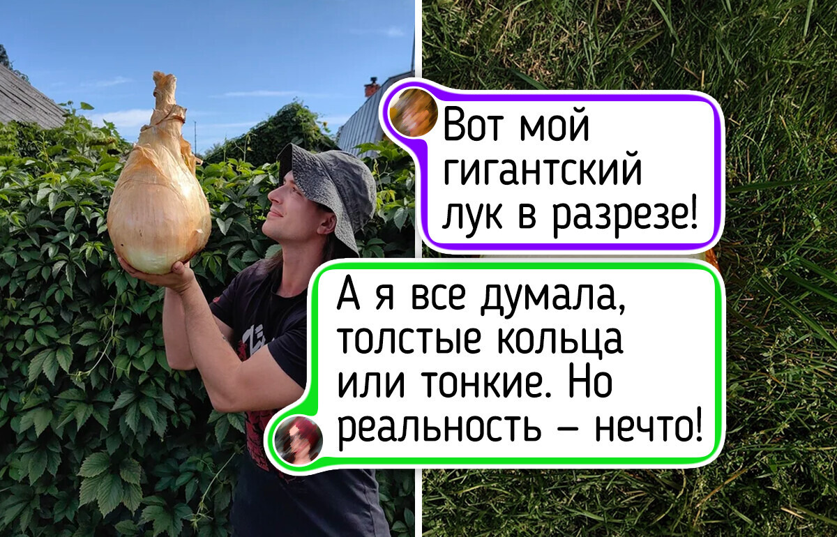20+ ярких животных и растений, у которых, кажется, сломались настройки реальности