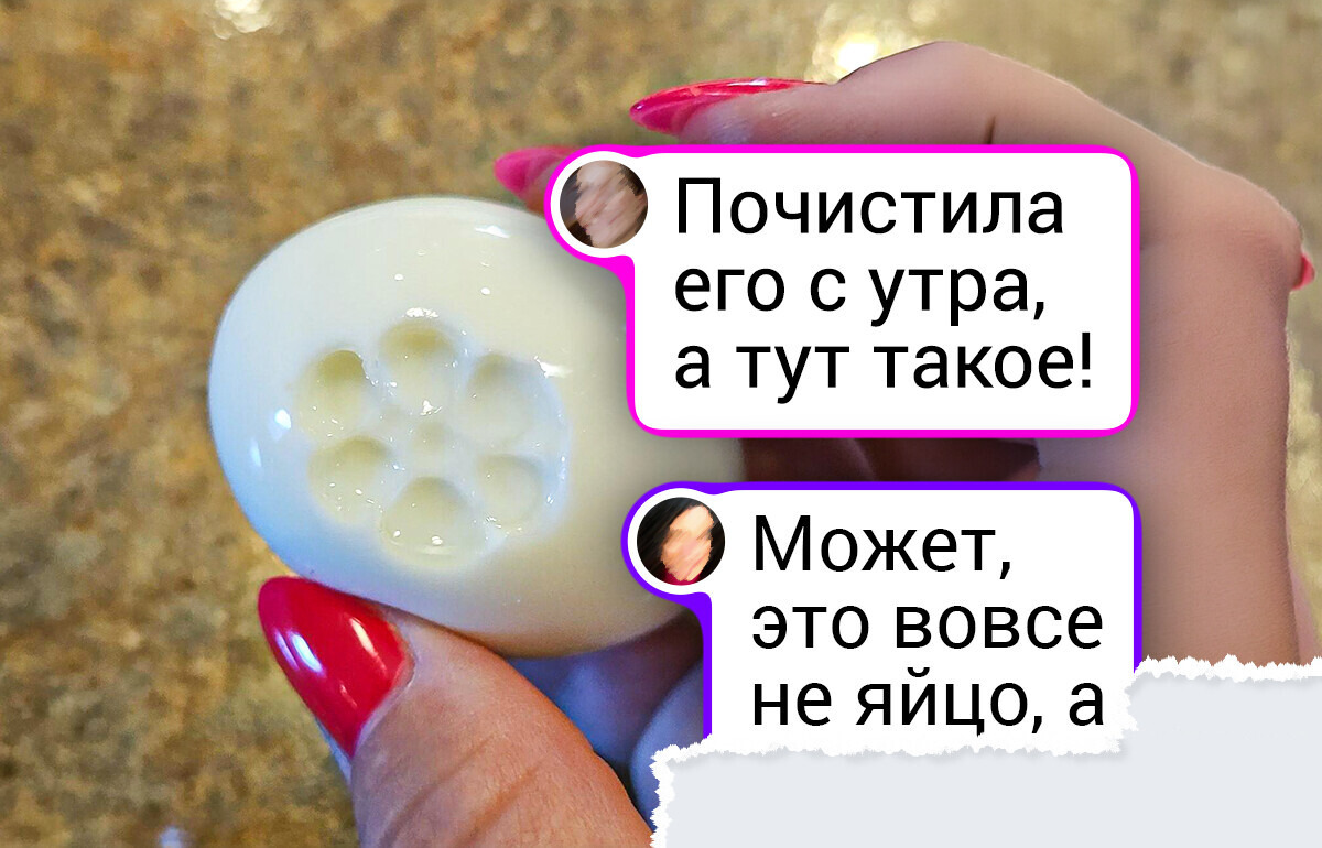 20+ маленьких чудес природы и теплых находок, которые люди случайно подсмотрели вокруг себя