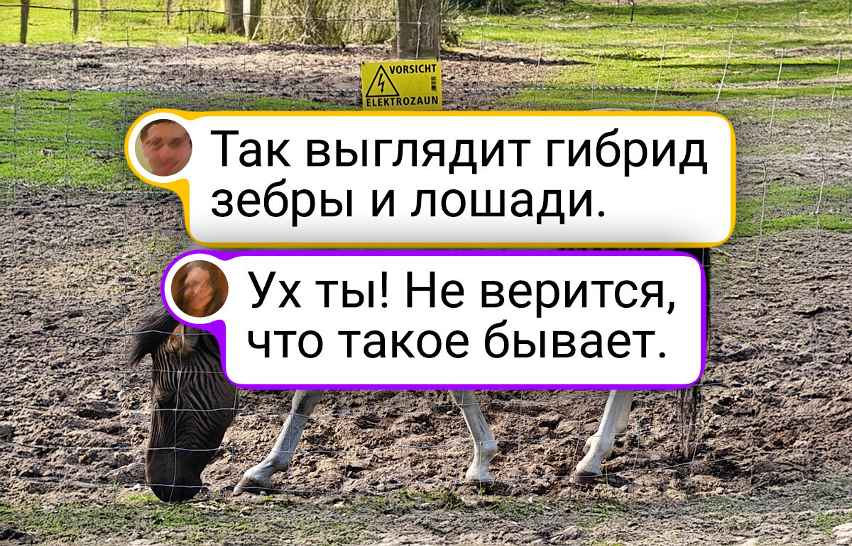 20 фото, где природа выглядит как безумная фантазия, но это реальность 20 фото, где природа выглядит как безумная фантазия, но это реальность