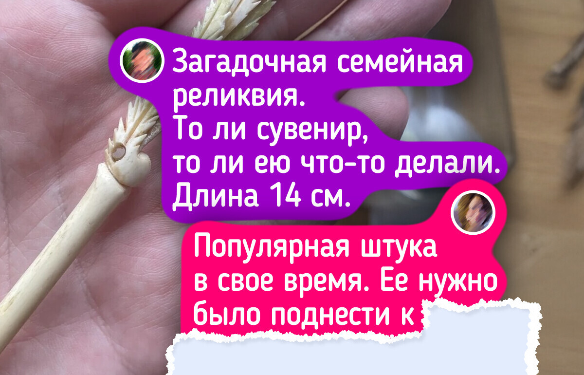 19 человек поделились семейными реликвиями, и некоторые не на шутку нас озадачили 19 человек поделились семейными реликвиями, и некоторые не на шутку нас озадачили