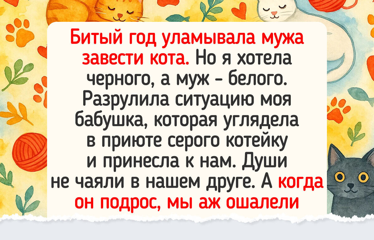 14 трогательных историй о том, как люди нашли своего питомца в приюте 14 трогательных историй о том, как люди нашли своего питомца в приюте