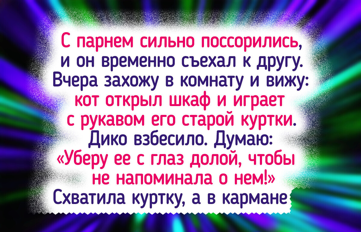 15+ пушистых хулиганов, которые сначала устроили в доме хаос, а потом стали главными любимцами