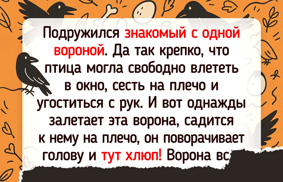 12 историй, доказывающих, что животные тоже способны на доброту и заботу