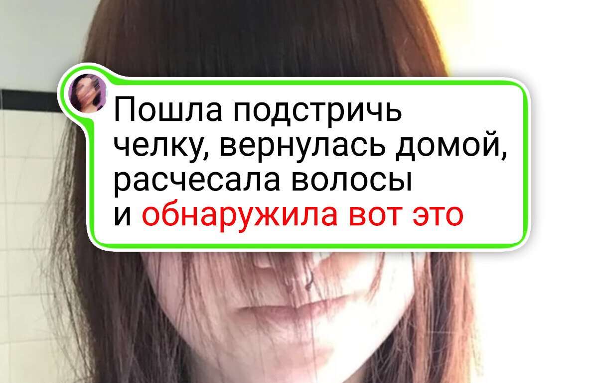 16 дам, которые просто хотели навести красоту, но у судьбы были другие планы